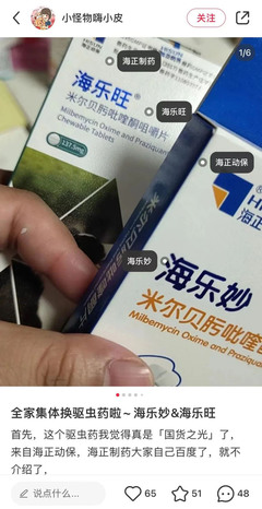 寵物保健食品 寵物經濟中潛藏的新藍海